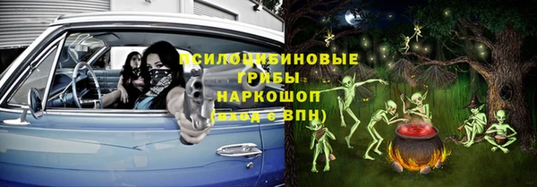 стаф Алексеевка