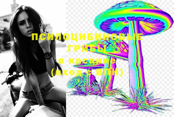 стаф Алексеевка