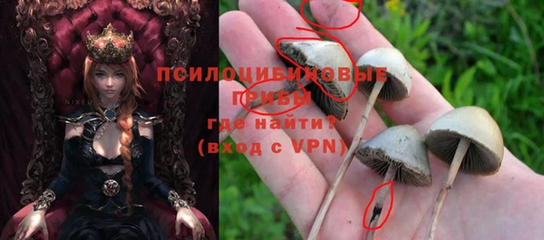 метадон Алексин